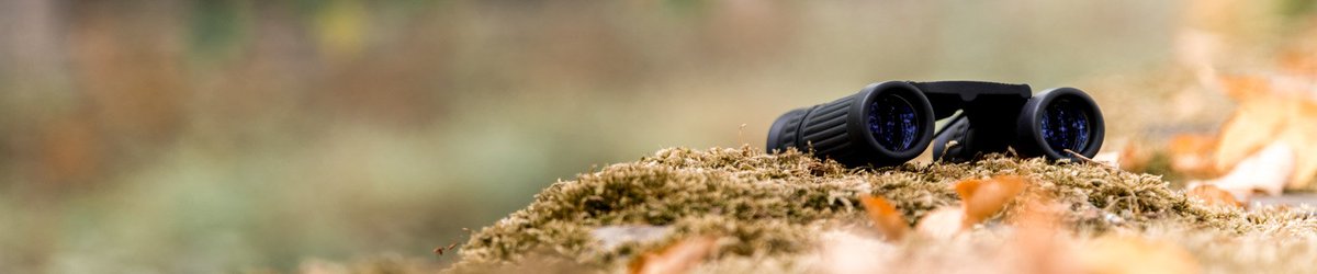 Was ist entscheidend für den Erfolg eines Unternehmens im Internet #Sichtbarkeit! Und wie erreicht man Sichtbarkeit im Web? Mit #lindbaum natürlich... 😉 Werfen Sie doch gleich einen Blick auf unsere Webseite zum Thema SEO und Sichtbarkeit im Web: lindbaum.de/seo-agentur