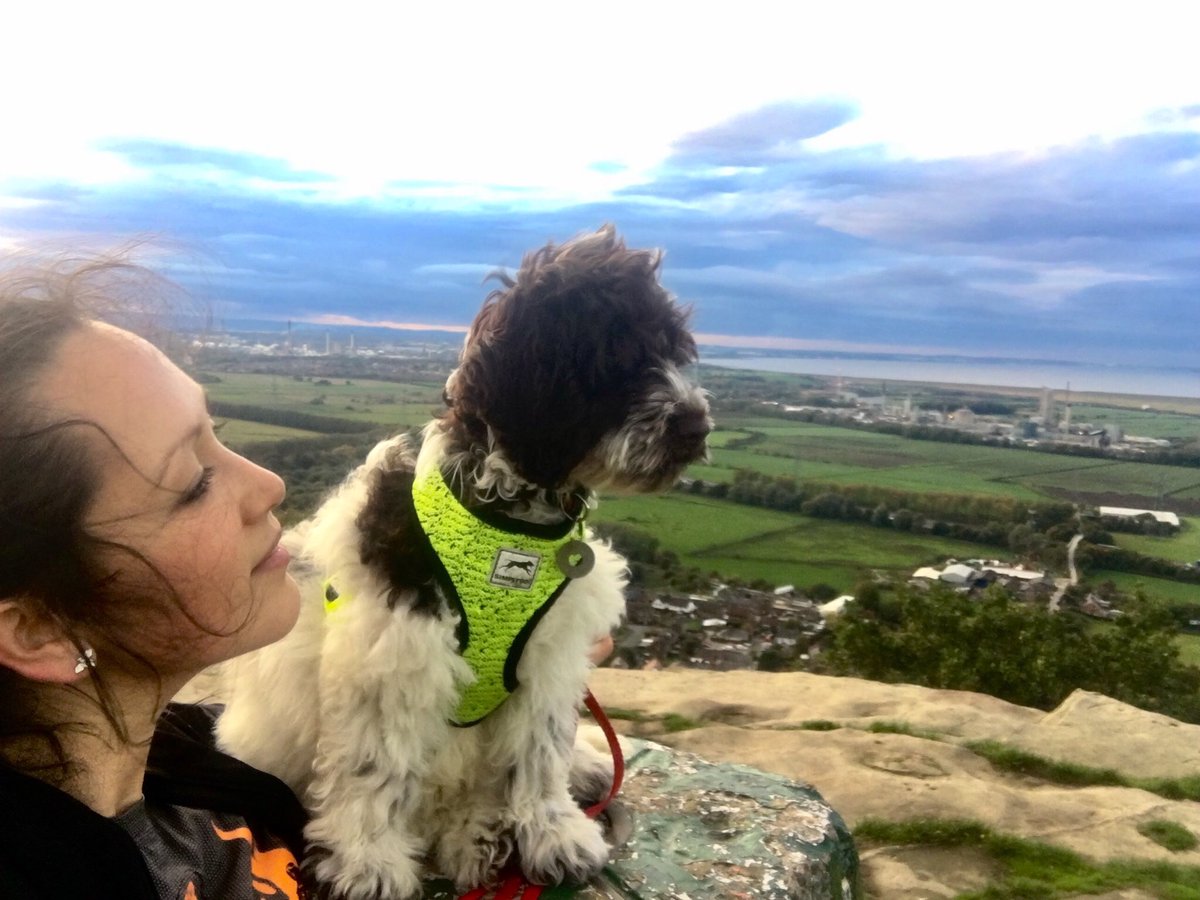holly_ffi's tweet photo. My puppy just cocked his leg for a wee for the first time. No wet willy for him! Proud mum moments π #Aneurin #widdles #HelsbyHill https://t.co/N2xtGwRwov