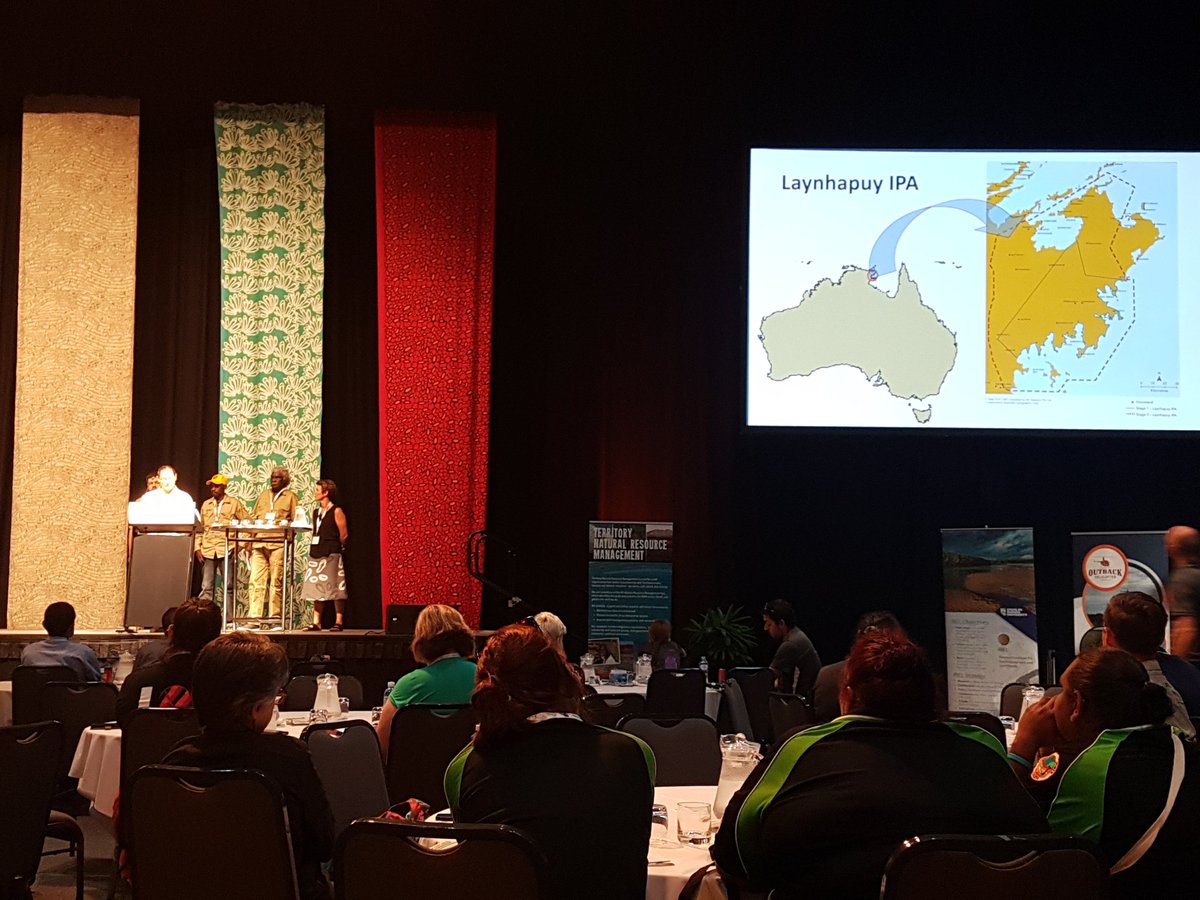 EmilieEns's tweet photo. I was honoured to present 10 years of cross-cultural collaborative feral buff and pig impact research with Yirralka Rangers at #tnrmconf18 Special shout out to Shane Wunungmurra for his first conference talk - too deadly you mob! I look forward to continuing our partnership 👍🏾 https://t.co/rSJaGyzhEs