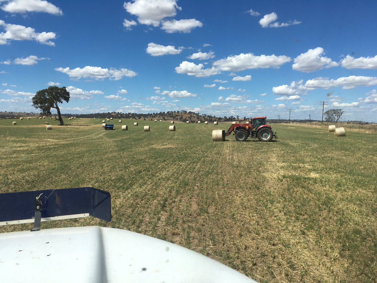 CharlieClev's tweet image. Harvest in full swing ..... and almost done!!