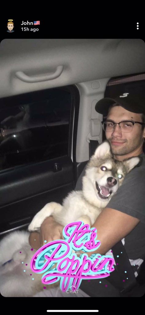 JohnB_41's tweet photo. Our little Norman broke his leg today in the worst place possible. We need some help to pay for his procedure on Friday morning otherwise he will be euthanized...😞 He is only 8 months old. Anything helps, please donate so we can keep our family together! Venmo- @KatyWolf8 https://t.co/xoaJUorl4p