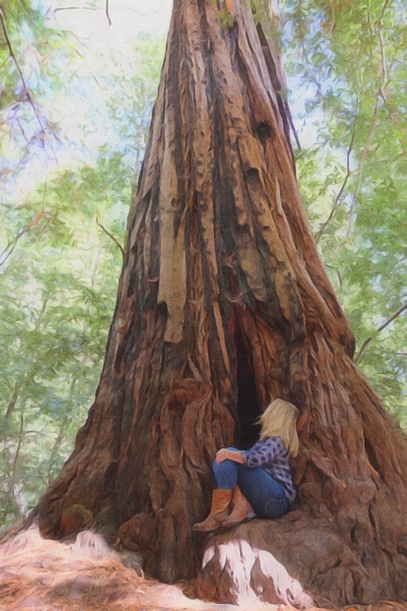 natural_wanders's tweet photo. “If you would know strength and patience, welcome the company of trees.” Hal Borland #foresttherapy #forestbathing #shinrinyoku https://t.co/R6MsBQSgyP