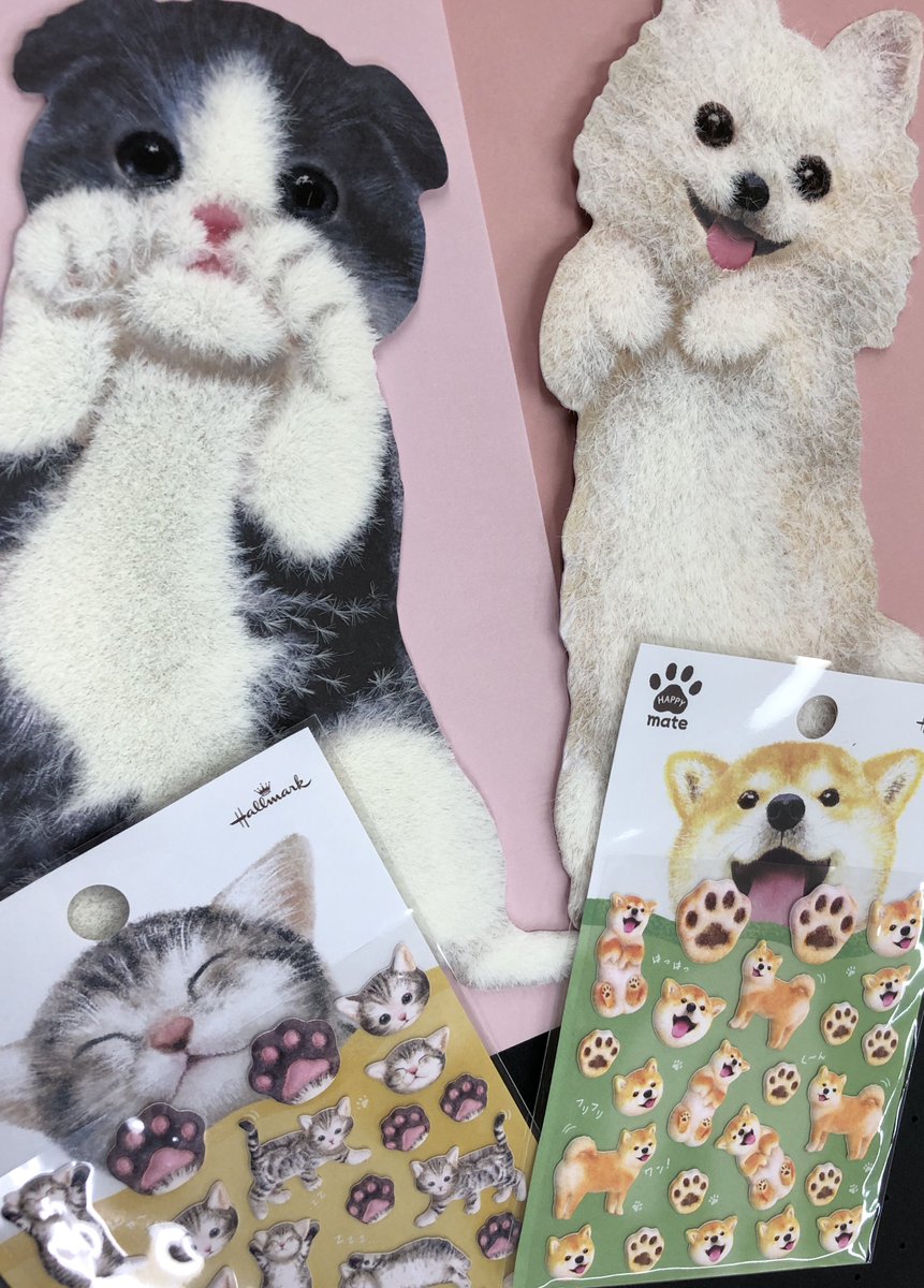 KIno_Hiroshima's tweet photo. ☆文具よりお知らせ ☆
犬猫好きの皆様!ぷにぷにのシールと、ふわふわの毛が生えた(!)思わず撫でたくなるカードが入荷しました!ころんとおなかをみせたポーズがとっても可愛いです🐶🐱 M.S #ホールマーク #犬 #猫 #HAPPYmate #シール https://t.co/yuSbvaDWfS