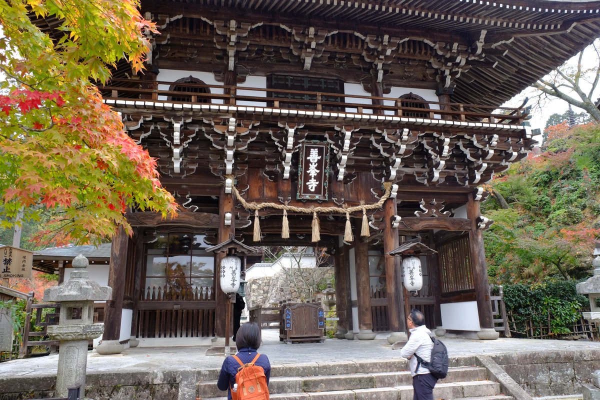 Sharing Kyoto Yoshimine Dera In West Kyoto Pretty Much Peak Autumn Leaves Colors There Right Now So Pretty And Entrance Is Only 500 Yen This Weekend Will Probably Be The Best