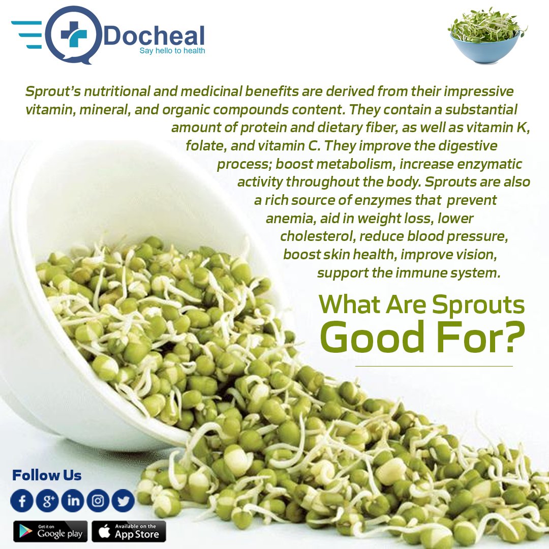 dochealhealth's tweet photo. Daily Health Tip .
#Sprout's .
#Voiceclip : https://t.co/QzQwR9yrOp
https://t.co/LoAWYaS8Rg
#sprout #SproutChat #sproutsessions #weightloss #Dochealapp #Doctors #doctor https://t.co/42LfXQjwwp