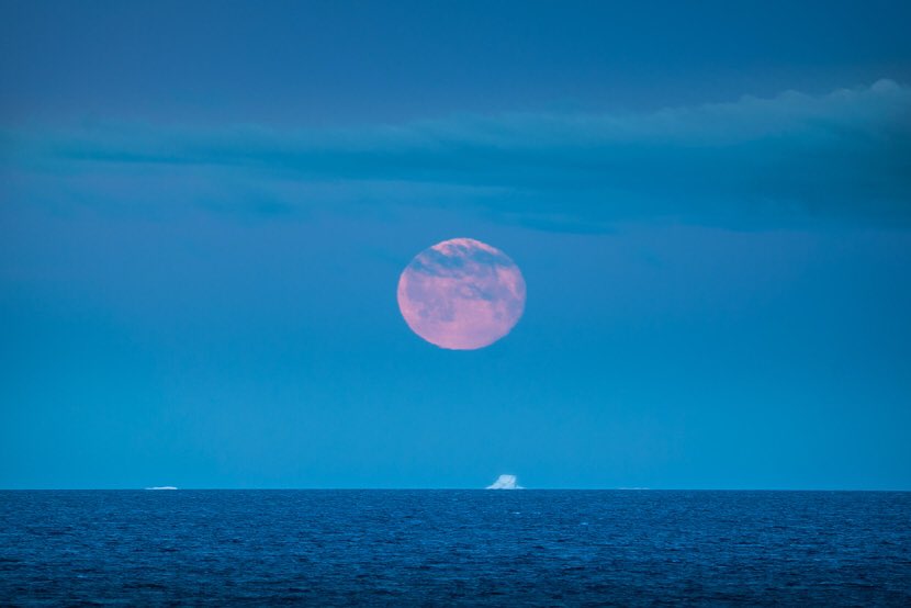 garrytutte's tweet photo. A full #moon drops into the #DavisStrait against a backdrop of distant #icebergs as we crossed from Kalaallit Nunaat (#Greenland) to the #Canadian #Arctic on this year’s 2018 @StudentsOnIce #expedition @Vistek @sonycanada #SonyAlpha https://t.co/KqQTHAa5yZ