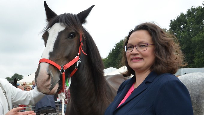 Deutsche red dead redemption