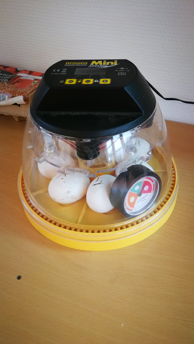 In groep 7/8 staat sinds vandaag een broedmachientje met 7 kippeneieren erin. Hopelijk komen er over zo'n 21 dagen kuikentjes uit!!!
Wordt vervolgd!!!