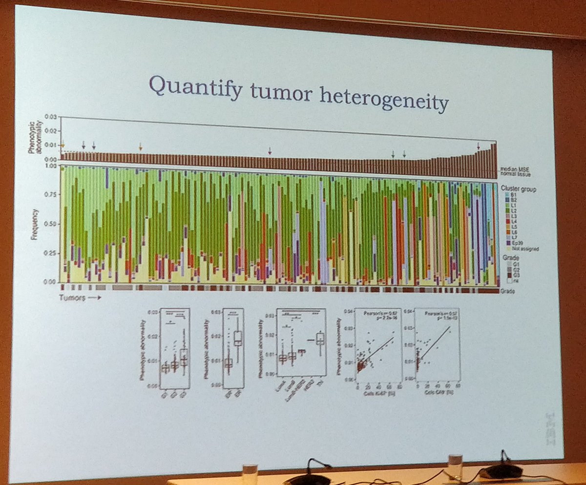 albajene's tweet photo. In case anyone doubts on the actual existence and use of #BigData in Biology. María Rodríguez addressing molecular biology questions at @IBMCH: tumour and immune cell heterogeneity (markers correlate with phenotypic abnormality) at single-cell resolution in breast cancer #JBI2018 https://t.co/5OQgus2PBL