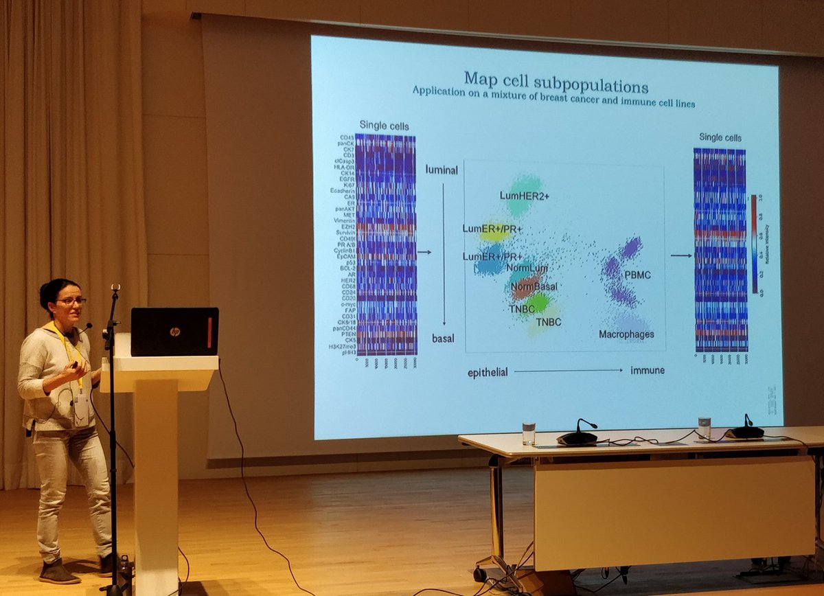albajene's tweet photo. In case anyone doubts on the actual existence and use of #BigData in Biology. María Rodríguez addressing molecular biology questions at @IBMCH: tumour and immune cell heterogeneity (markers correlate with phenotypic abnormality) at single-cell resolution in breast cancer #JBI2018 https://t.co/5OQgus2PBL