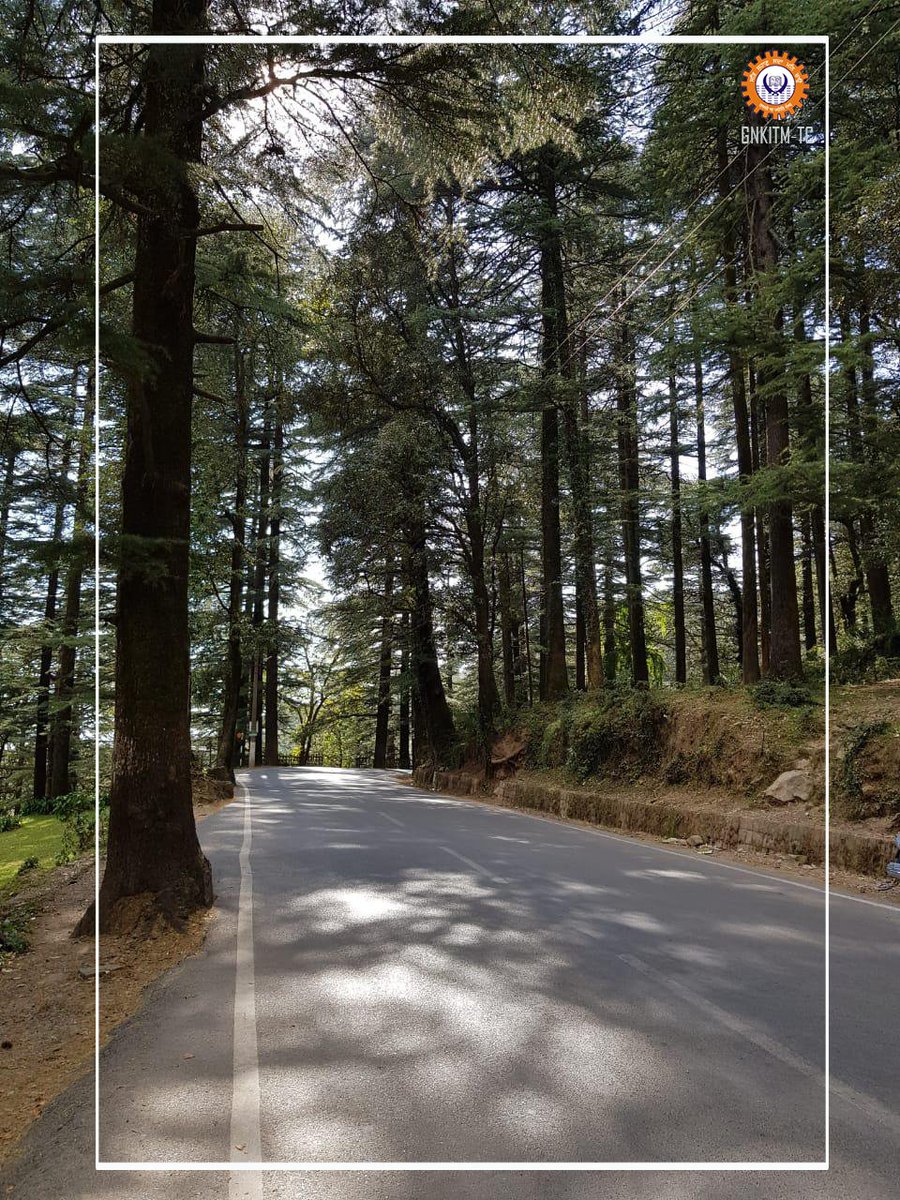 GNKITMIndia's tweet photo. #LifeatGNKITM #CampusLIfe #ExcursionTrip #Dharamshala #Mcleodganj #LeisureTrip #FunwithFriends #JobOrientedEducation #SkillBasedEducation #SkillIndia #SkillingYouth #MBA #MCA #BBA #BCA #EducationInstituteinYamunanagar #ProfessionalEducationinYamunanagar #CollegesinYamunanagar https://t.co/NaJFxBXl4Z