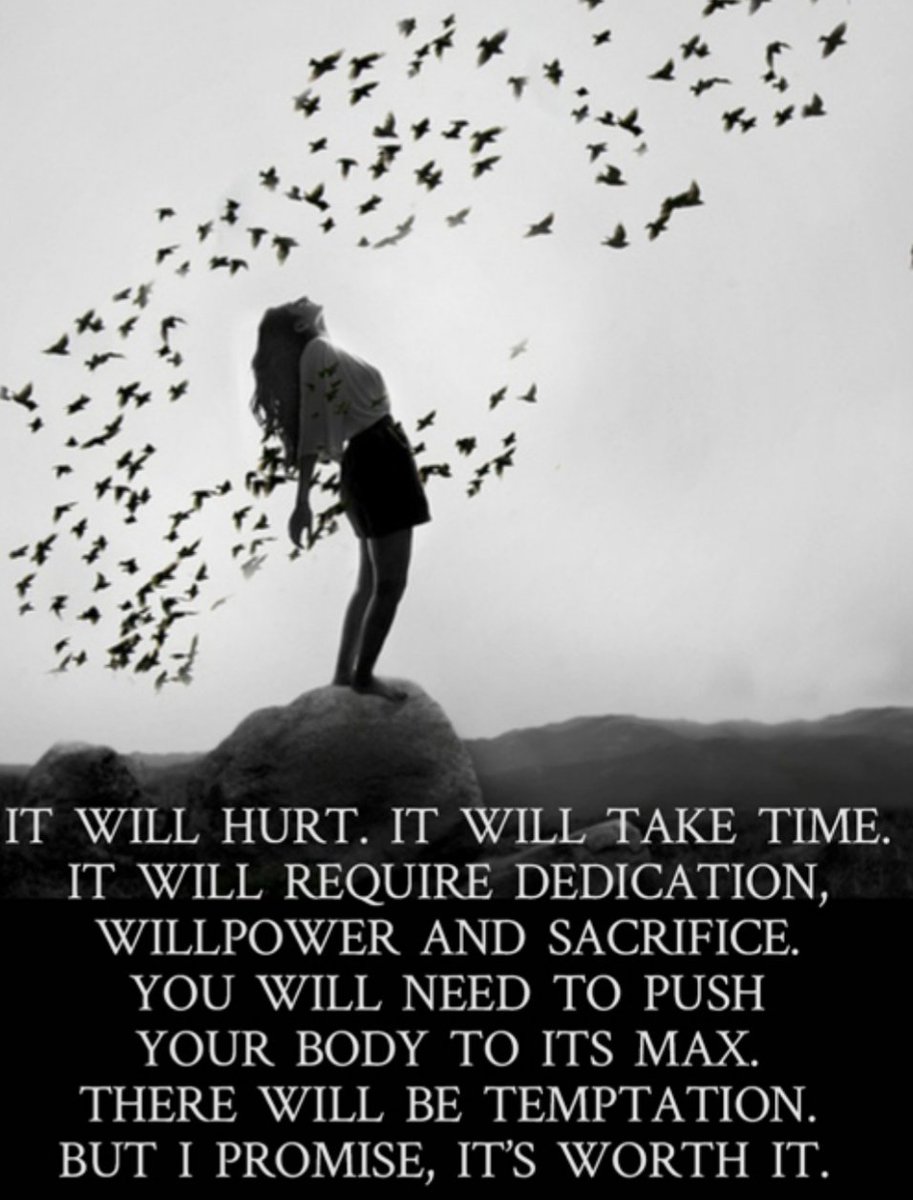 FightingAgains2's tweet photo. There will be temptations everywhere everyday, it's up to you how much you want to CHANGE your future and continue yiur RECOVERY.
#Temptations #recovery #BetterTogether #future #FightingAgainstAddiction https://t.co/OeT7p6sdku