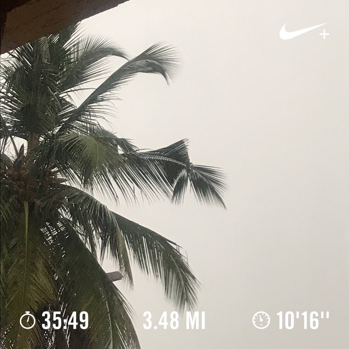 APENconnect's tweet photo. 🌧😫😖 #nikerunning #nikerunclub #movewithhart #runwithapril #justdoit #comeraincomesunshine #comerunwithus #igrunner #runnersofinstagram iloverunning ....but yo, this pace needs to pick up 😰 https://t.co/hTaKa21qEa