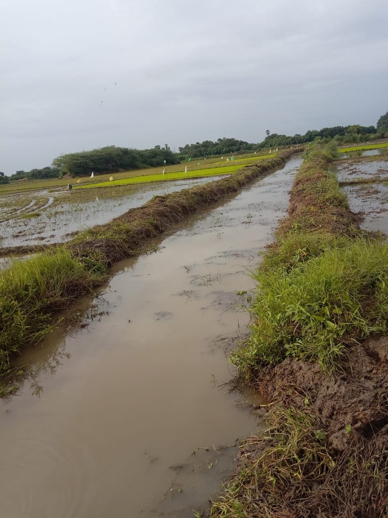 Jeyaselvan18's tweet photo. Sterlite CSR Channel cleaning works in Thoothukudi District. Trying to support the farmers and developing the community #Knowthetruth #ReOpenSterliite https://t.co/dIHubLDpos