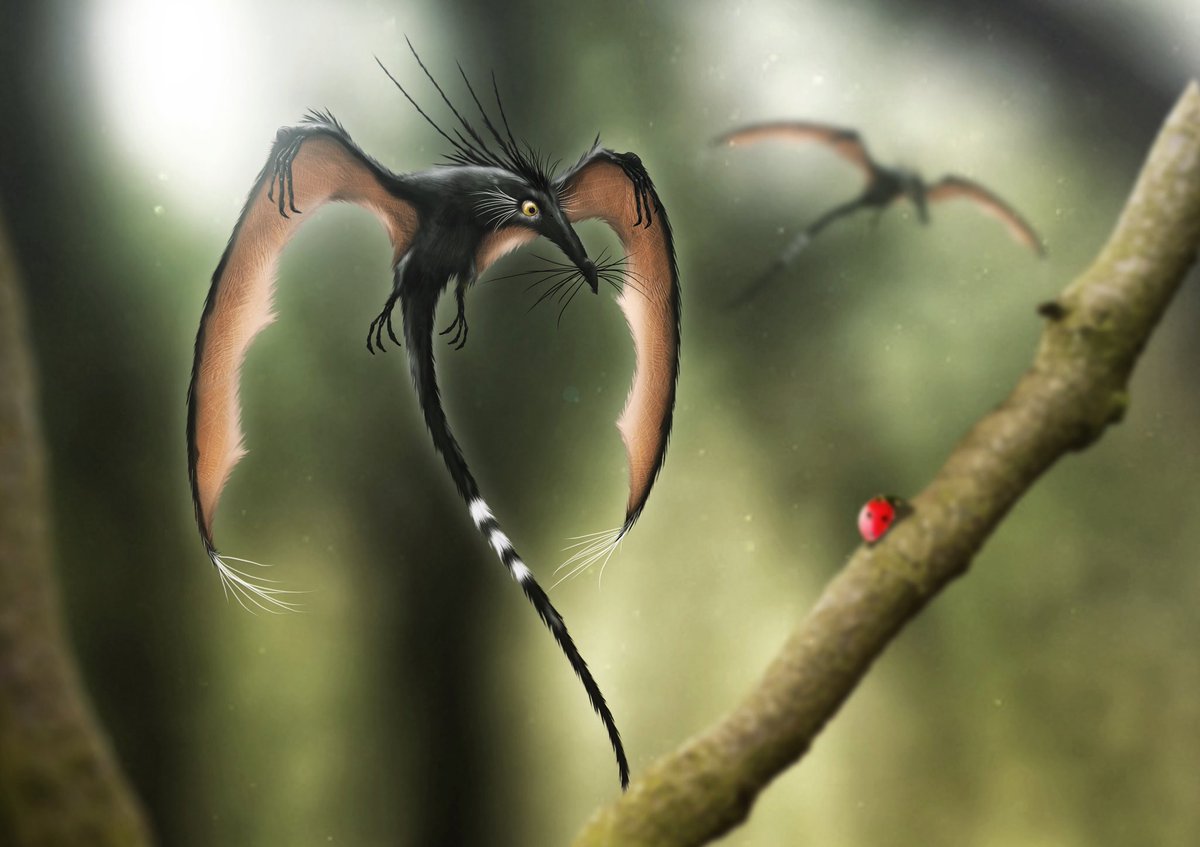 DragonsofWales's photo on #FolkloreThursday