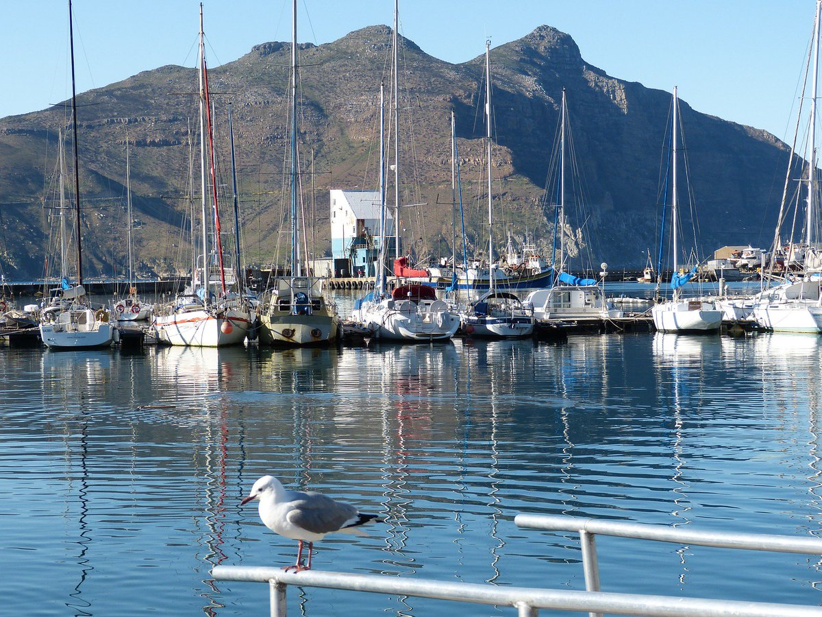 Hout Bay Harbour, full of old world charm and hardworking colorful people.

#HoutbayHarbour #lovehoutbay
