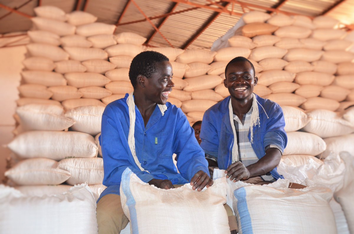 ICRISAT ESA tweet media