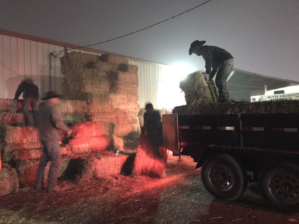 wesnamanda's tweet photo. Thank you to everyone who helped make this happen! With your help we were able to deliver; 36 bales of grass hay, 40 salt blocks, 400 lbs of cat and dog food, extension cords and splitters, latex gloves, and lots of zip ties as requested by #NVAD #Campfire https://t.co/9eXMsgKKta