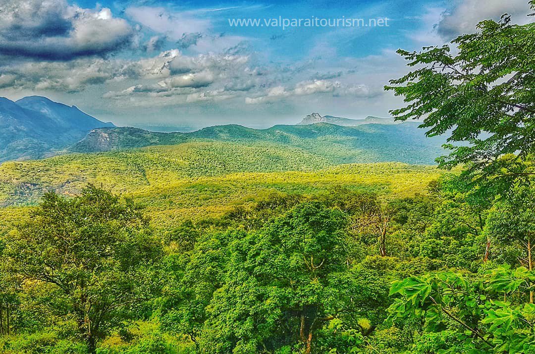 TourismValparai's tweet photo. Nature cannot be commented, it must be experienced. Captured by @sooraj.vt

#Share | #Retweet | #Repost. Let your friends know about Valparai.
#TourismValparai #WesternGhats #tamilnadu #incredibleindia #tamilnadutourism #tourismtn https://t.co/8jrESsfg9z