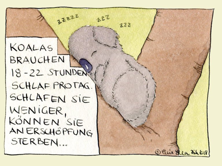 sternenzacke's tweet photo. Für alle, die schon morgens spüren, dass sie eigentlich ein Koala sind 🐨 https://t.co/WE7n6CpYUO

#Koala #Schlaf #Sternenzacke #Illustration https://t.co/sR7RlURgk0