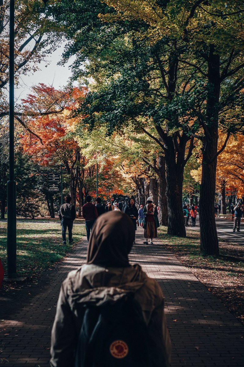 azrimazran's tweet photo. Hokkaido University. How I wish I had this view in my school. #hokkaidouniversity #hokkaido https://t.co/OXwtOdJPph