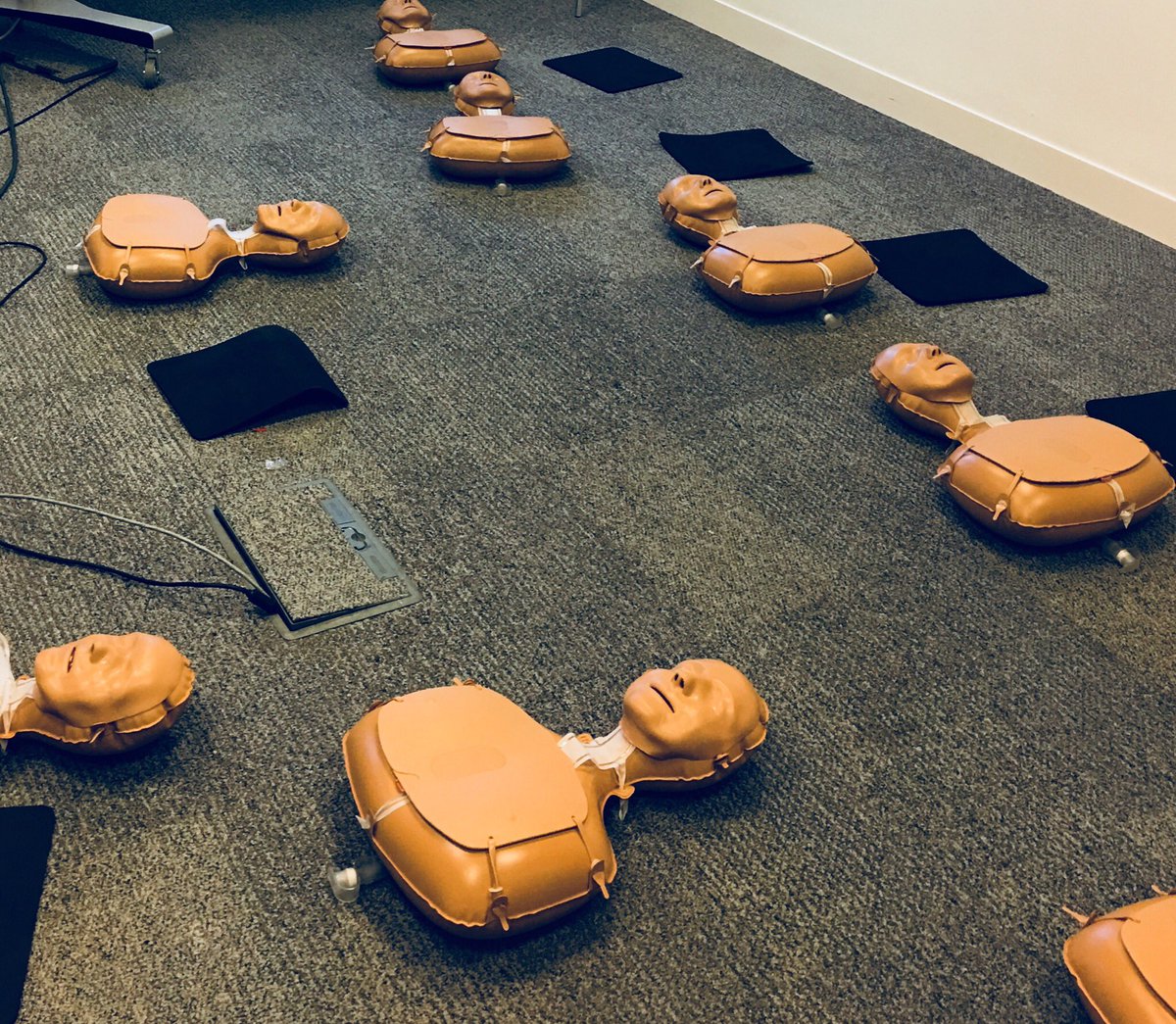 Jenny Williams 🌻 tweet media