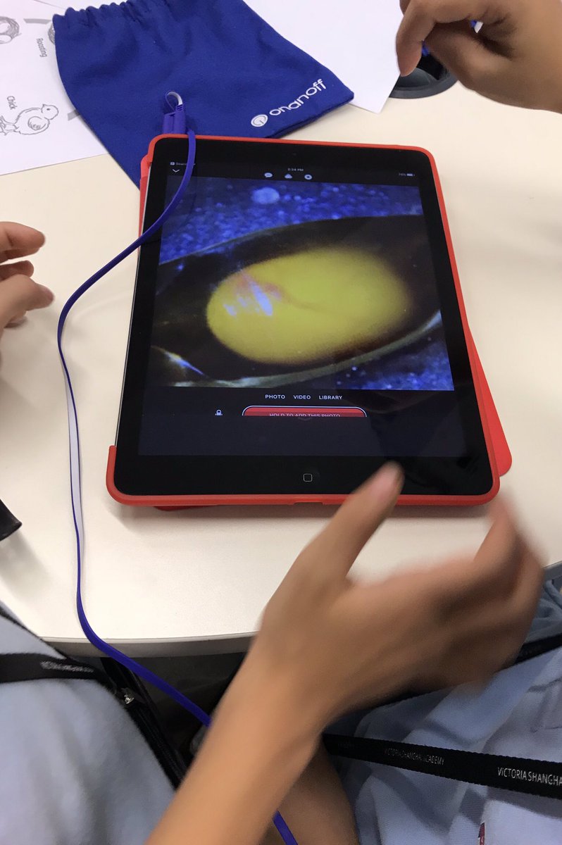 mrkpyp's tweet photo. To support the #VSAHKG Y1 #STP #UOI Ss curated a series of pictures to represent the stages of a chosen lifecycle. Using #appleclips they created videos using a title slide and pictures including #speechtotext titles to explain each stage #edtech #edtechchat #edtechftw #pypchat https://t.co/BY8ph6cSpa