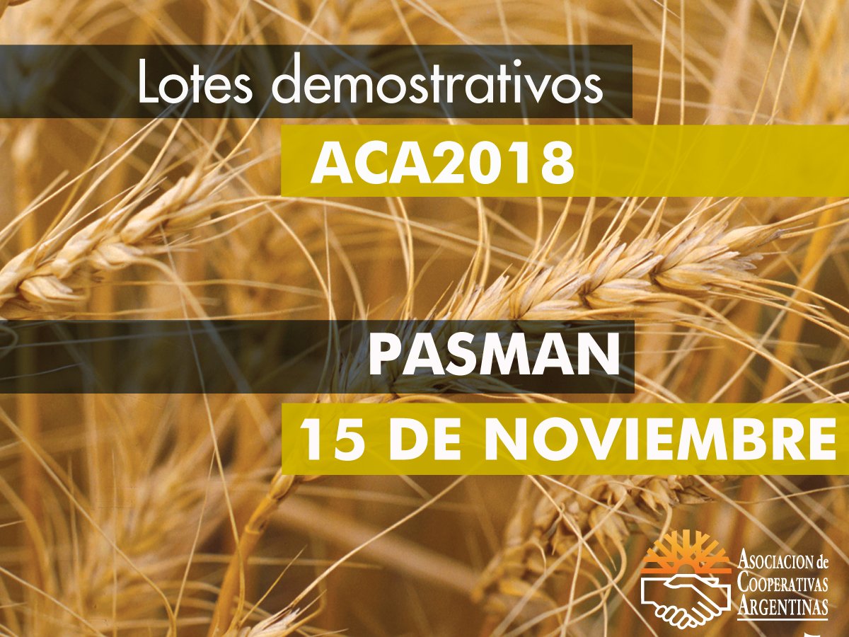 ACAcoop's tweet photo. 📣 Se viene un nuevo #LoteDemostrativo #ACA2018 Te esperamos hoy en #Pasman #BuenosAires para disfrutar de los #TrigosACA 🌾
⏰15.00hs
📌Mirá el mapa para poder llegar https://t.co/JvZD1nK3L7
Te esperamos!! #Trigo #Cebada #CampañaFINA https://t.co/q0FUCzgycL