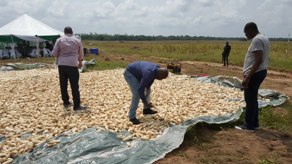 nirsalconnect's tweet photo. Where the rubber meets the road- Our project sites are where all our ideas come to fruition. Our MD/CEO @aliyu_hameed today conducted a pre-launch visit of our #FAMSMART project in Edo State ahead of tomorrow's official launch. STAY TUNED. #BeSmart #FAMSMART https://t.co/0zpcJAXEdp