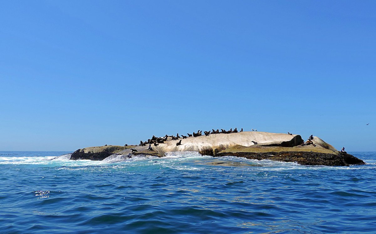 Agetaways1's tweet photo. Eine Bootstour zum Cape Point - das schönste Kap der Welt 🌊🚤🐳🐧 https://t.co/EZDIMwZ4Hl https://t.co/eRSvrExt1s