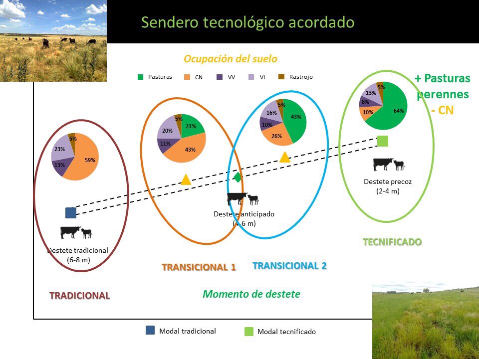 cfmacha's tweet photo. Poniéndole números a las oportunidades de innovación de la cría vacuna, incluyendo la opinión formal de asesores y productores. Ing. Catalina Fernández Rosso, civetan, Fcv, Tandil @CIVETAN_CONICET @UnicenARG #redmodasur #simugan https://t.co/Yyp2xjNABl