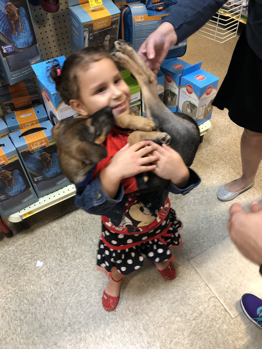 HeroesForPaws's tweet photo. @jeffaburleson adoptions Petsmart 2308 and Heroes For Paws Inc. https://t.co/mnbaQdPIvy