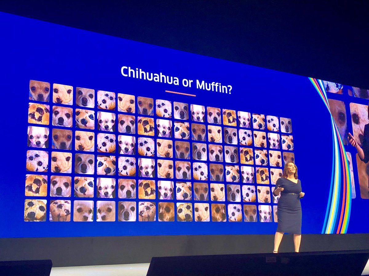 FramesLtd's tweet photo. Fantastic to see the sets we built for the main stage &amp; breakout sessions looking so good at #wdayrising in Vienna this week. Now....is that a #muffin or is it a #chihuahua? 🤣 https://t.co/ddg0ixF0Dl