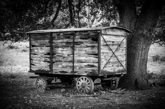 myneit's tweet photo. Old wagon
...
Vecchio carro
...
#wagon #oldwagon #cart #oldcart #old #abandoned #woods #blackandwhite #blackandwhitephotography #bnw #bnwphotography #monochrome #vehicle https://t.co/ksNxjiRm3O https://t.co/CPVgDWduhy