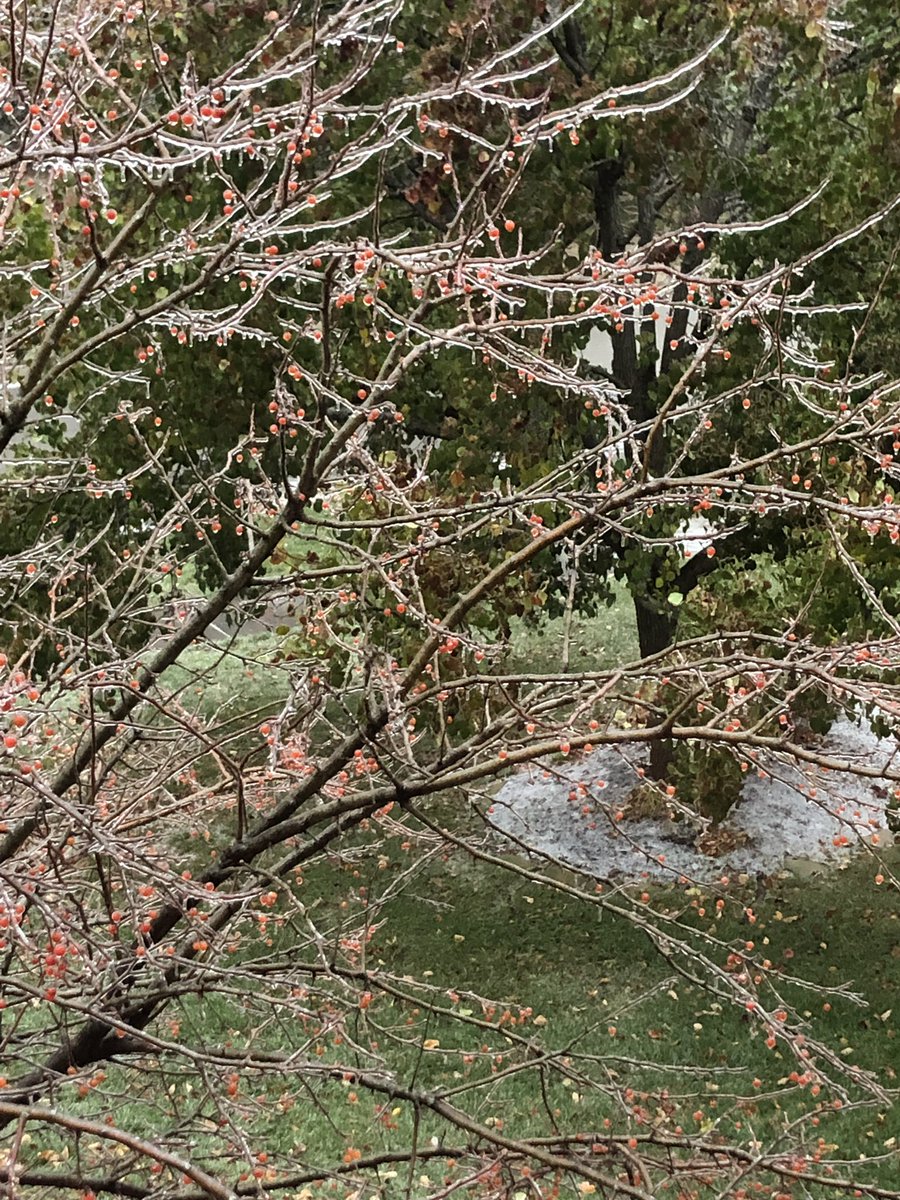 kawilliams1701's tweet photo. @NBEbulldogs Room 32 friends, I wondering about the ice I see on my trees. Are you wondering or noticing things about this too? Send me your wonders and findings today on @Seesaw or you can respond to my tweet! Can’t wait to hear what you’re thinking! https://t.co/vfgQNiGKbw