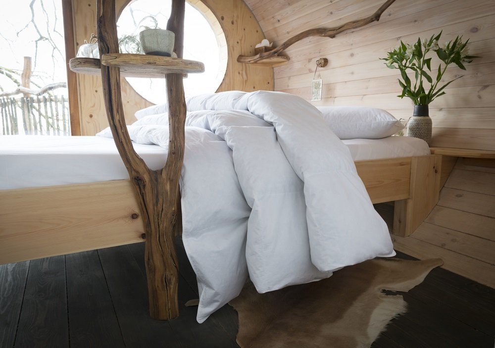 FBCHospitality's tweet photo. Introducing our 3 NEW natural fibre ranges - our feather and down products are certified to be ethically-sourced and fully traceable. These pillows and duvets are perfect for a luxurious, indulgent sleep: https://t.co/QkAXpHLVwG https://t.co/oEyIqe1T9w