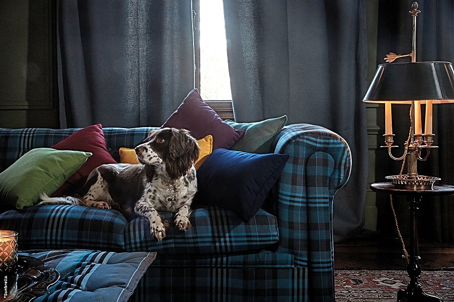ADFSouthAfrica's tweet photo. SUNBRELLA® EU UPHOLSTERY COLLECTION
NEW DANDY TREND
Checks Edward Peacock : CHE F058 140
#Sunbrella #ADFSA #SunbrellaEU #ThisisSunbrella #NewDandy
“Sunbrella® image provided by Glen Raven, Inc., owner of the Sunbrella registered trademark.” https://t.co/6xadb4aRlk