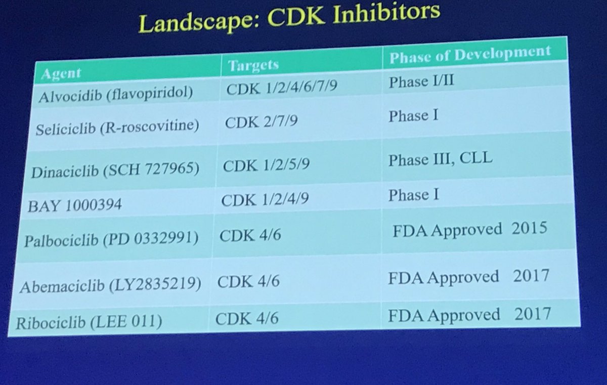gerlach_d's tweet photo. Richard Finn starting with a review of CDK inhibitors #enasymp https://t.co/0icRLOAO6j
