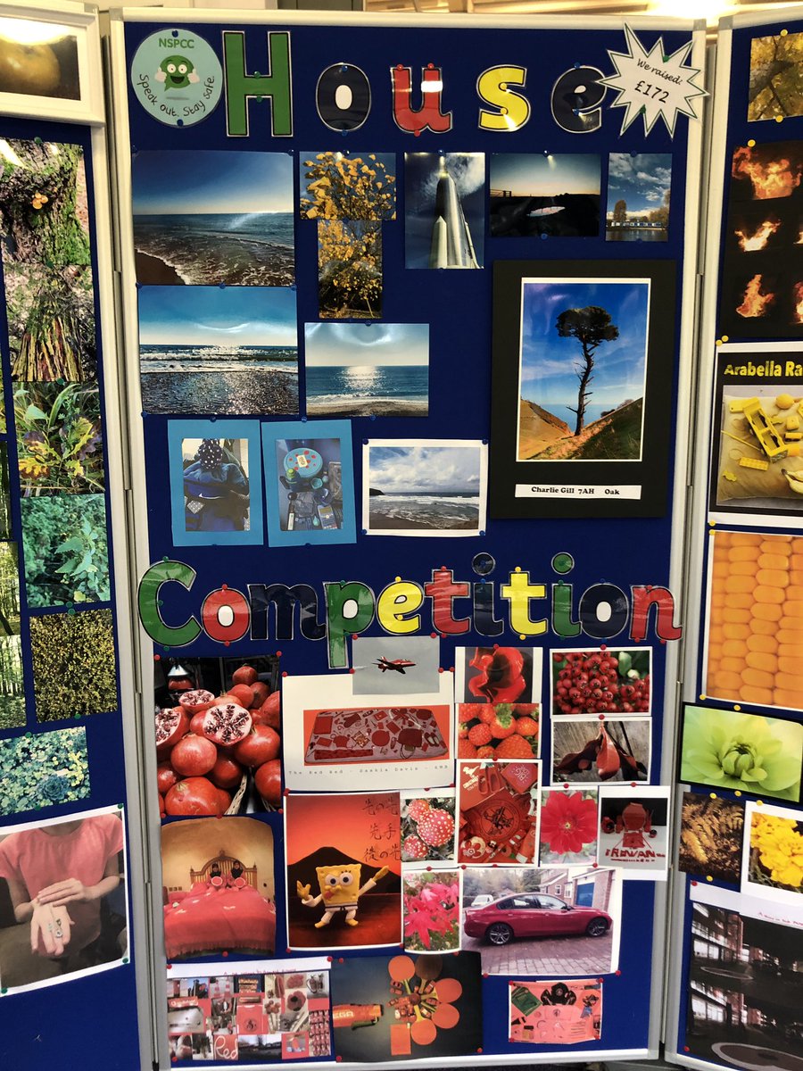ThorngroveBeech's tweet photo. Fabulous #photocompetition entries for all houses. Well done to all the entrants. Come and have a look on Sunday at the #TGxmasfayre. We raised £172! #pickyourpic https://t.co/oDxfYfI0tg