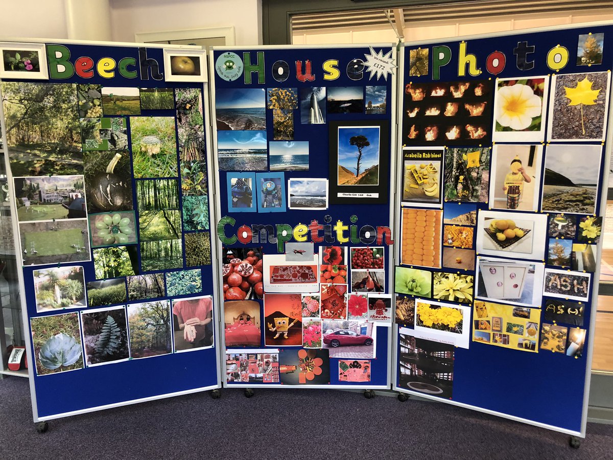 ThorngroveBeech's tweet photo. Fabulous #photocompetition entries for all houses. Well done to all the entrants. Come and have a look on Sunday at the #TGxmasfayre. We raised £172! #pickyourpic https://t.co/oDxfYfI0tg