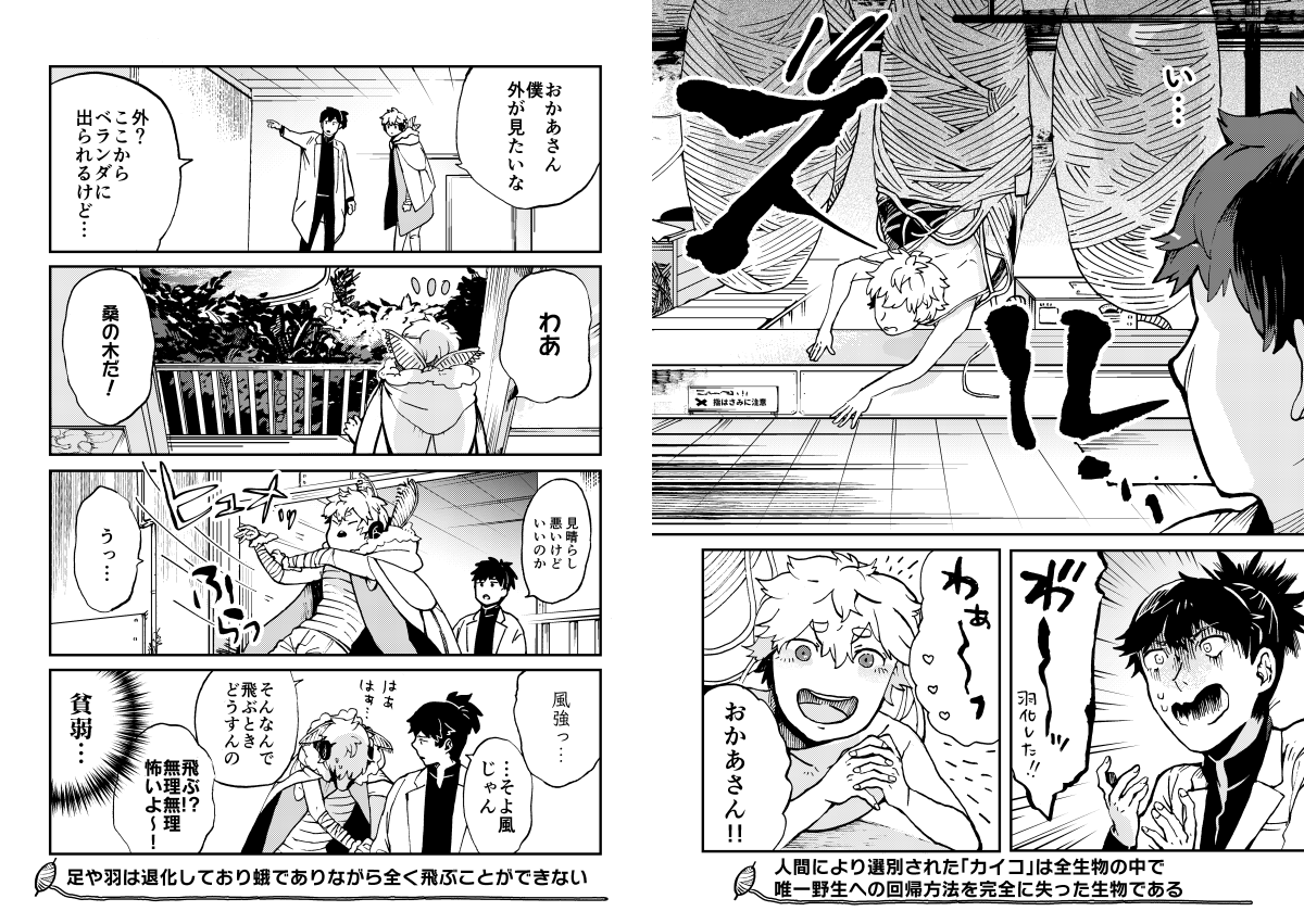 11月25日のコミティア新刊『家蚕少年カイコくん』のサンプル 製糸用の繭からたったひとり羽化してしまったカイコの話、東5ホール[T55a]ハルシカにて頒布予定です
#COMITIA126 #コミティア126 