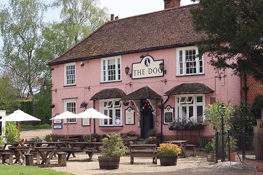 PetTradeXtra's tweet photo. Britain's most dog-friendly pub revealed @DogBuddyCo Well done 
@Grundisburghdog  https://t.co/WoRy5GBpCI https://t.co/d3VU8QeEnP