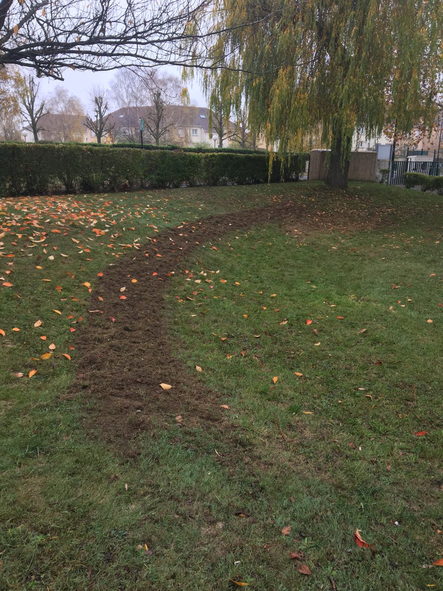 quiritcurie's tweet photo. Ce matin, on a vu que les jardiniers ont retourné la terre. Nous allons planter des graines de fleurs qui vont attirer des insectes et des oiseaux. #PmcE3D https://t.co/FmUBHfVas4