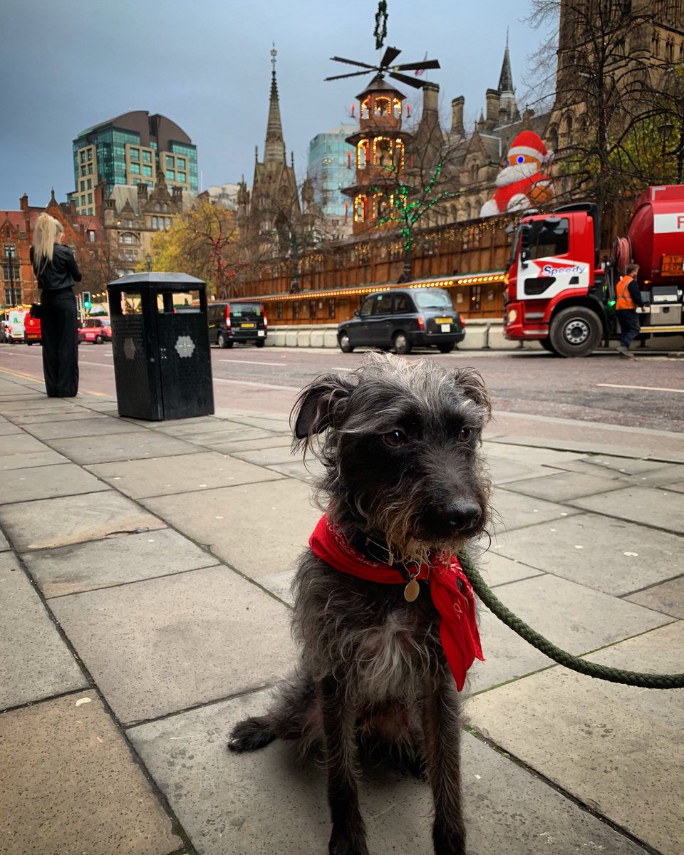 BuddyDoggy's tweet photo. I did a city centre mooch. This is as near the the markets as I went. It’s November. https://t.co/W9Ar5fJIgU