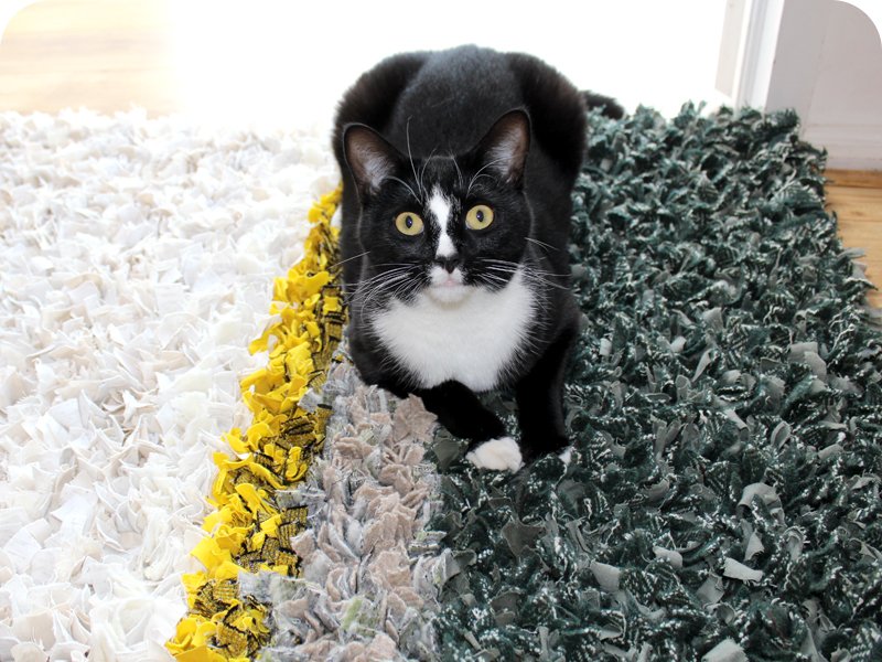 RaggedLife's tweet photo. Check out our latest Rag Rug Inspiration Newsletter for all the latest news from the world of Ragged Life - https://t.co/zRn6p50nW4 https://t.co/9VttOx9Bb2