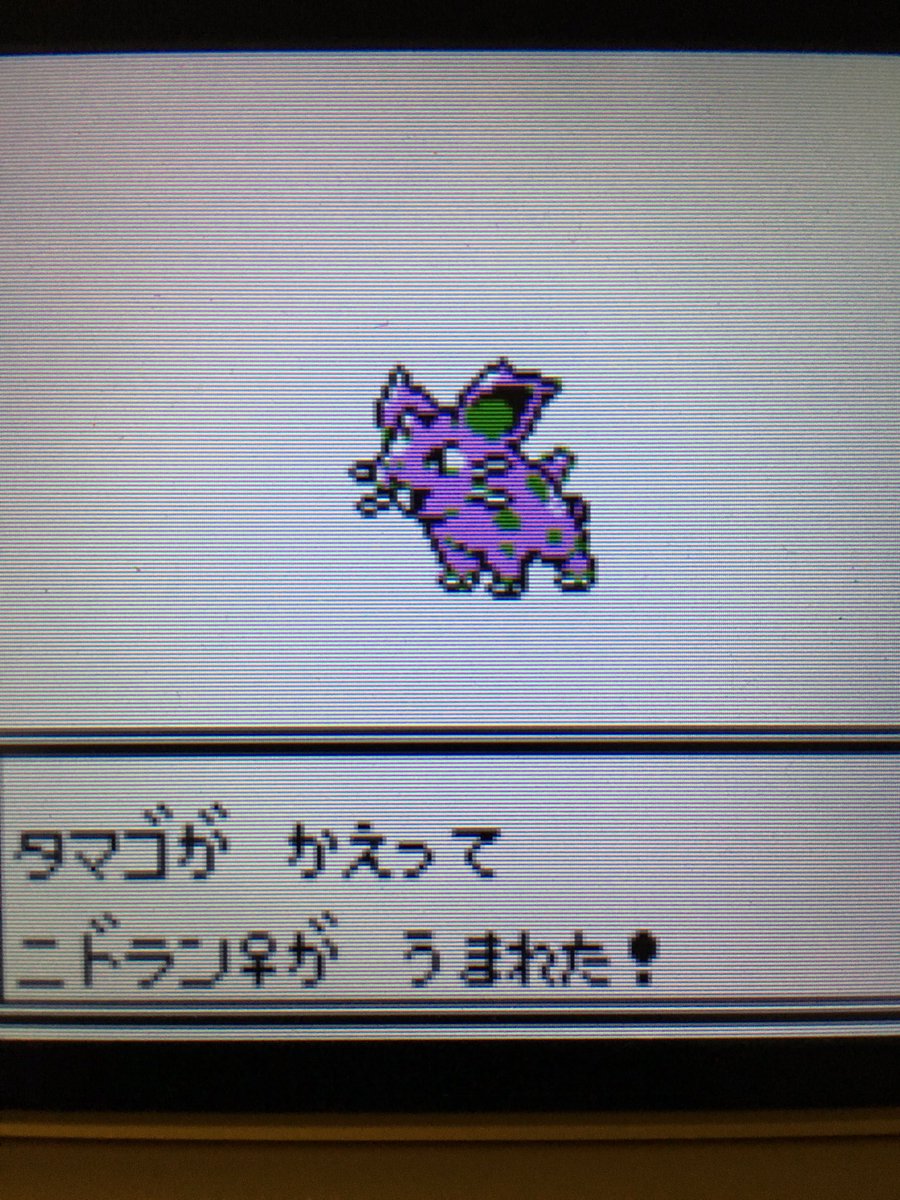 色違いポケモン紹介 Vc産ニドラン 自由に生きてあそblog