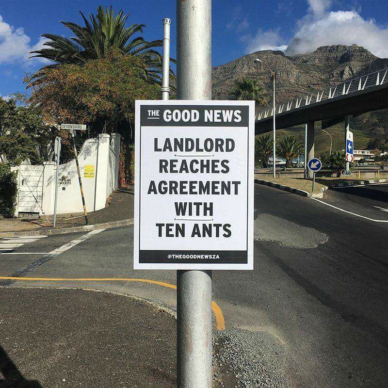 MaS1banda's tweet photo. Wait til the other ants find out… https://t.co/vdkkhLu4cF