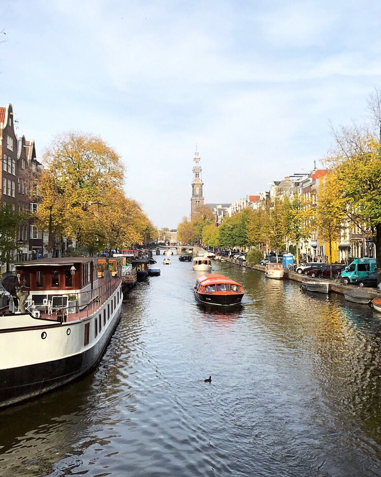 .scott thomas. tweet media