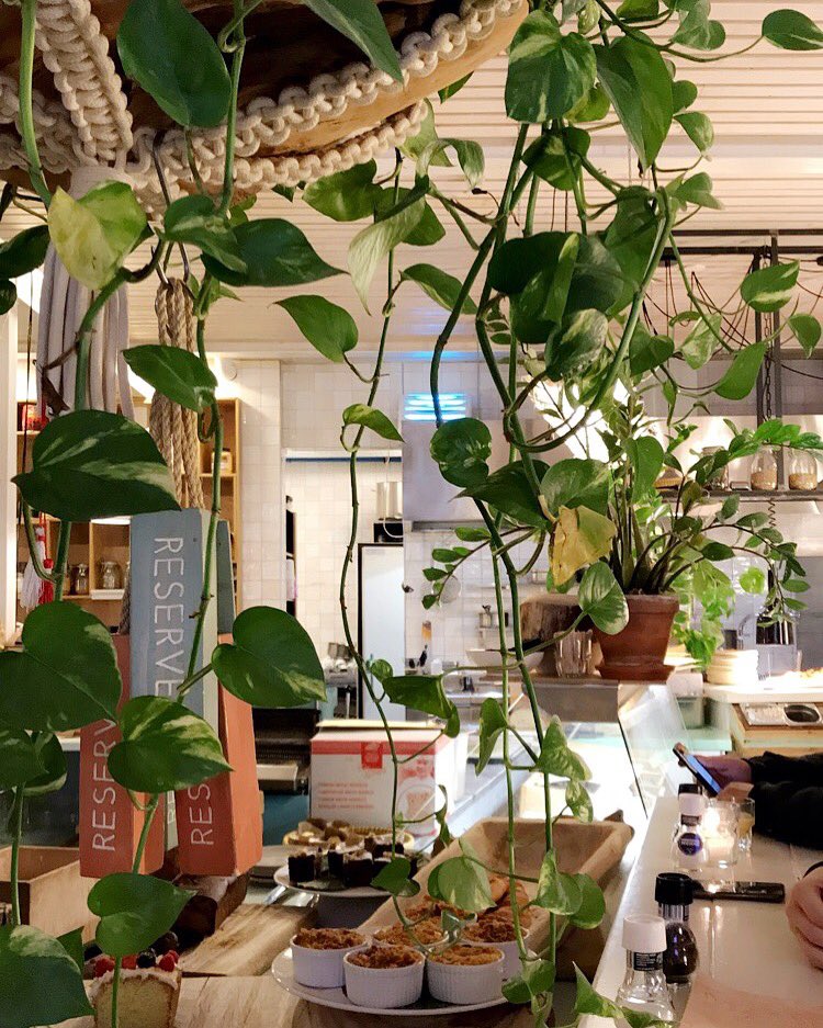 .scott thomas. tweet media