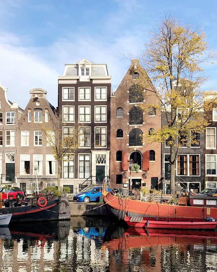 .scott thomas. tweet media